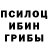 Галлюциногенные грибы Magic Shrooms TheSamp