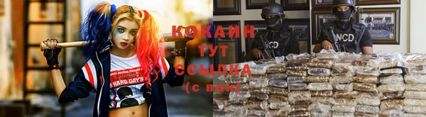 круглые Аркадак