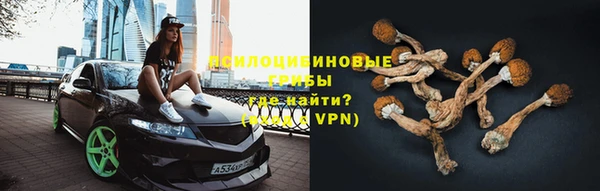 apvp Баксан