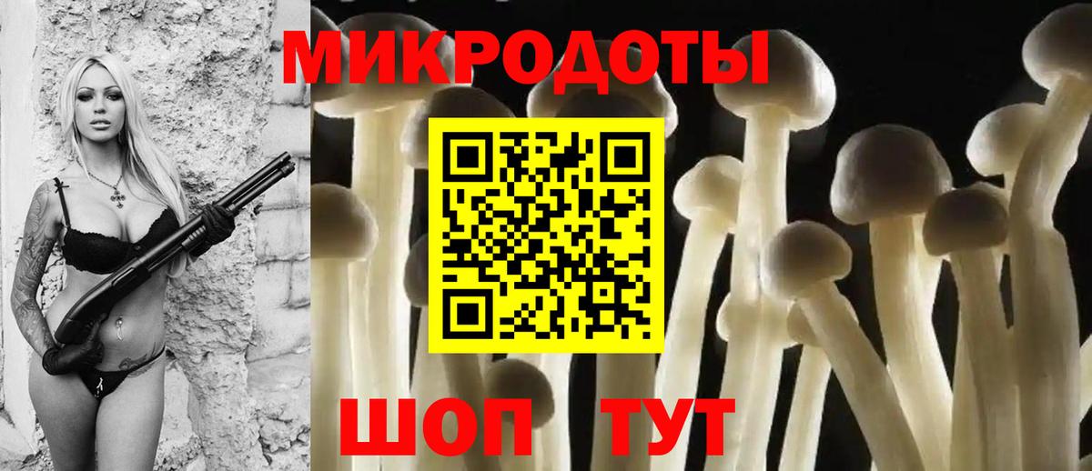 Галлюциногенные грибы Cubensis Губаха
